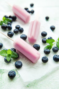 Ice cream popsicles from fresh organic blueberries. summer sweets and desserts. vegan food.