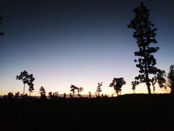 Silhouette trees on field against sky at sunset