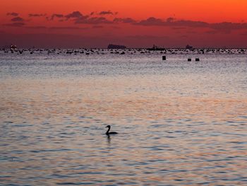 Scenic view of sea against orange sky