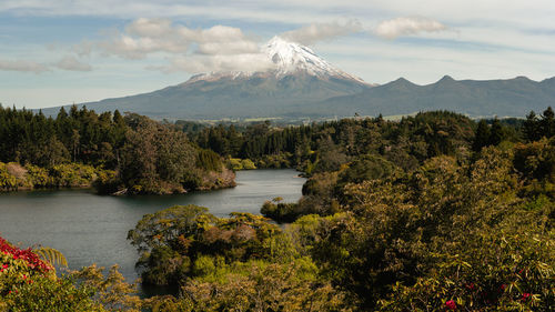 Scenic view of lake by trees against sky