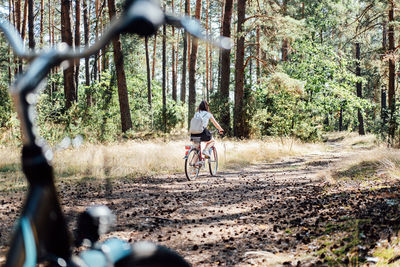 Bicycle tourism. road biking trails. bicycles for rent. single woman riding bike in pine forest in