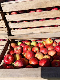 Close-up of apples