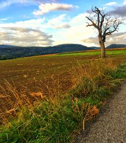 Scenic view of field against sky