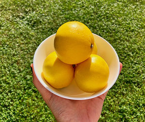 Close-up of person holding fruit lemmon 