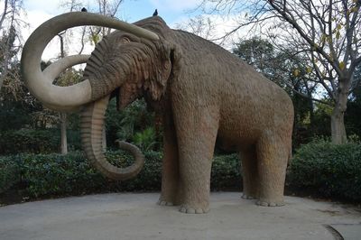 Elephant by trees