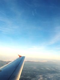 Cropped image of airplane flying over landscape