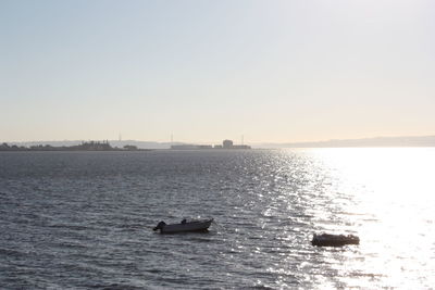 Boats sailing in sea