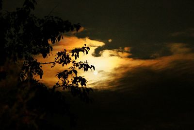 Silhouette tree against sky during sunset