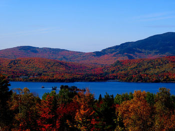 Scenic view of lake against sky during autumn