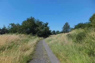 View of field against clear blue sky