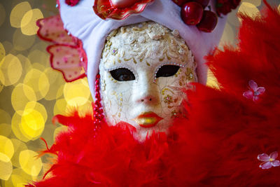 Portrait of person wearing costume during carnival