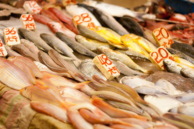 Close-up of fish for sale