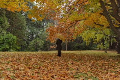 Rear view of person walking on autumn leaves