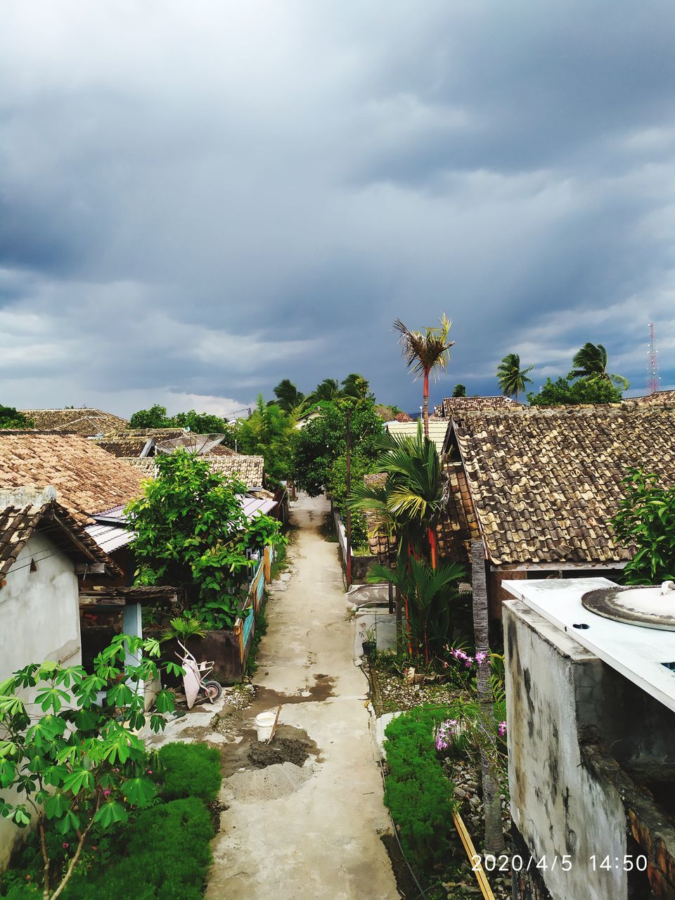 PLANTS AND HOUSES IN VILLAGE AGAINST BUILDINGS