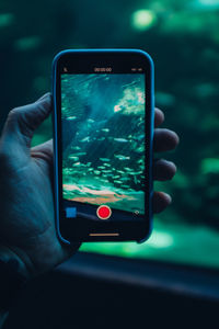 Cropped hand filming fish in tank