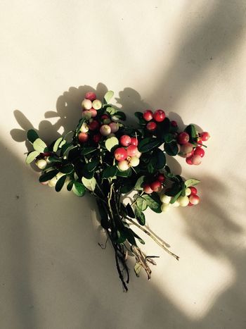 HIGH ANGLE VIEW OF FLOWER VASE