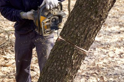 Midsection of man cutting tree trunk