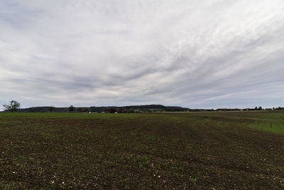 Scenic view of field against sky