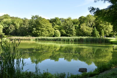 Scenic view of lake by trees against sky