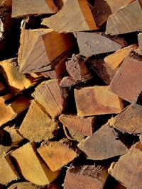 Full frame shot of logs in forest