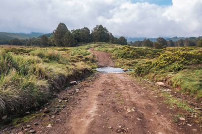 A dirt road against a river in the forest at chogoria route, mount kenya national park, kenya