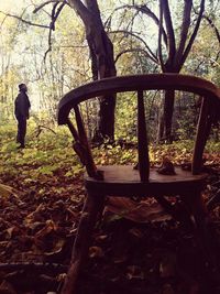 Woman standing on tree trunk