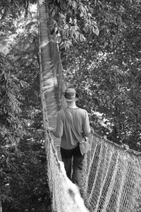 Rear view of man walking on rope bridge at forest