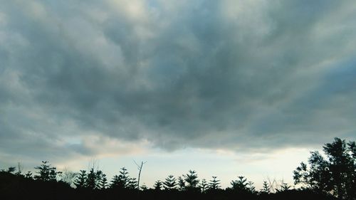 Low angle view of silhouette trees against sky