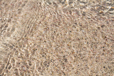 Full frame shot of rocks on beach