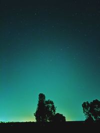 Low angle view of silhouette trees against sky at night