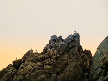 View of rock formation against clear sky