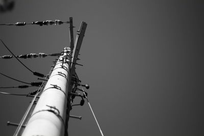 Low angle view of cables