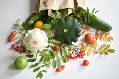 High angle view of fruits on plant