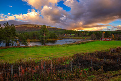 Scenic view of field against sky