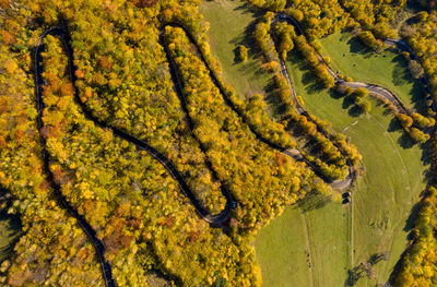 Aerial above view of epic colorful autumn forest winding road, serpentine, drone point of view