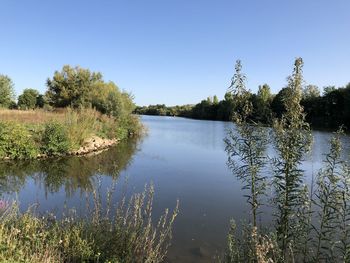 Scenic view of lake against clear blue sky