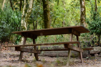 Bench against trees