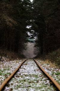 Road amidst trees in forest