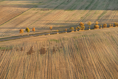 High angle view of road amidst field