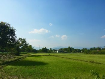 Scenic view of field against sky