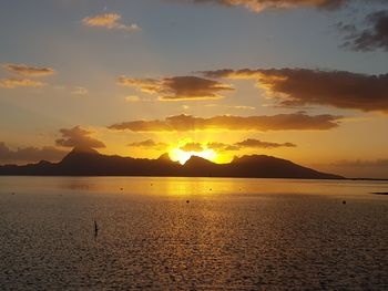 Scenic view of beach during sunset