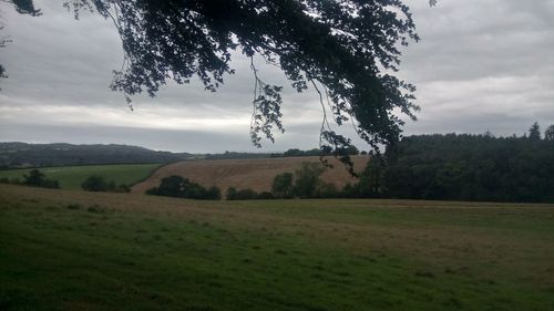 Scenic view of field against sky