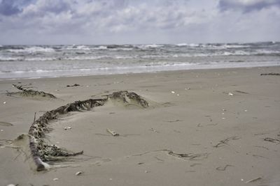 Scenic view of beach against sky