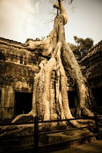 Low angle view of old ruin