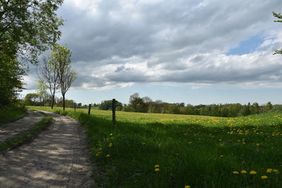 Scenic view of field against sky