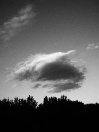 Low angle view of silhouette trees against sky