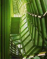 Close-up of green leaves