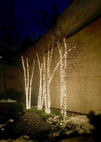 Close-up of illuminated tree against sky at night