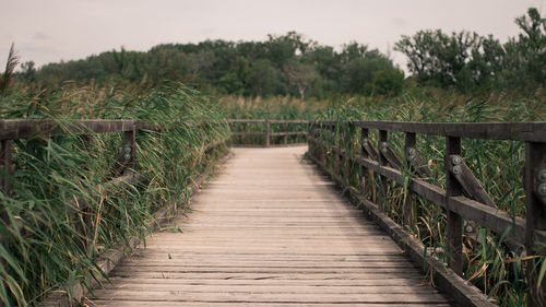 Footbridge amidst trees against sky