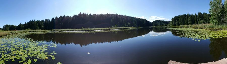 Reflection of trees in calm lake